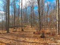 72045PeCrLeUsm - Westridge Trails, late fall.jpg